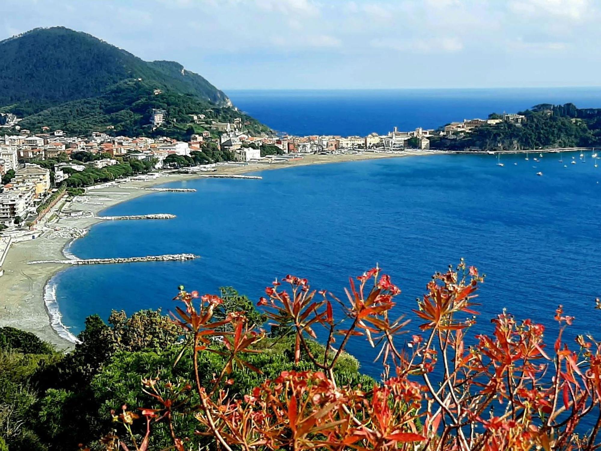 Apartment Lavanda By Interhome Sestri Levante Zewnętrze zdjęcie